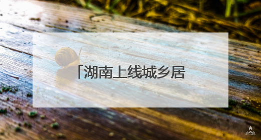 湖南上线城乡居保补缴新功能：手机点一点 养老金提档不用跑腿