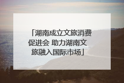 湖南成立文旅消费促进会 助力湖南文旅融入国际市场