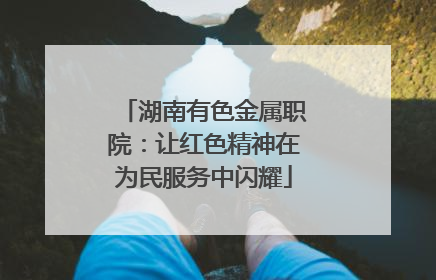 湖南有色金属职院：让红色精神在为民服务中闪耀