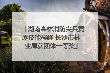 湖南森林消防尖兵竞逐技能巅峰 长沙市林业局获团体一等奖