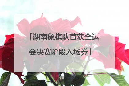 湖南象棋队首获全运会决赛阶段入场券