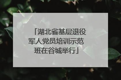 湖北省基层退役军人党员培训示范班在谷城举行