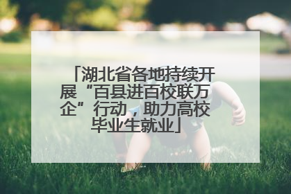 湖北省各地持续开展“百县进百校联万企”行动，助力高校毕业生就业