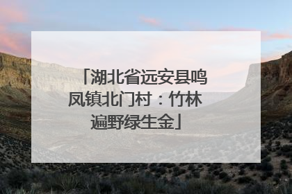湖北省远安县鸣凤镇北门村：竹林遍野绿生金