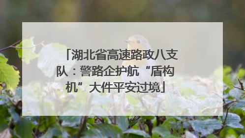 湖北省高速路政八支队：警路企护航“盾构机”大件平安过境