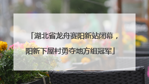 湖北省龙舟赛阳新站闭幕，阳新下屋村勇夺地方组冠军