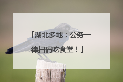 湖北多地：公务一律扫码吃食堂！