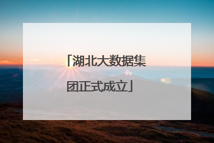 湖北大数据集团正式成立