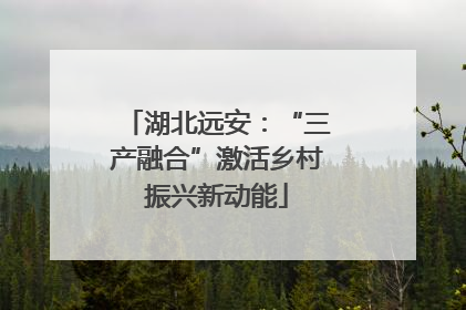 湖北远安：“三产融合”激活乡村振兴新动能