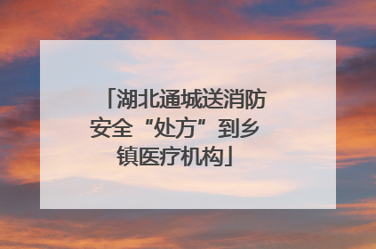 湖北通城送消防安全“处方”到乡镇医疗机构