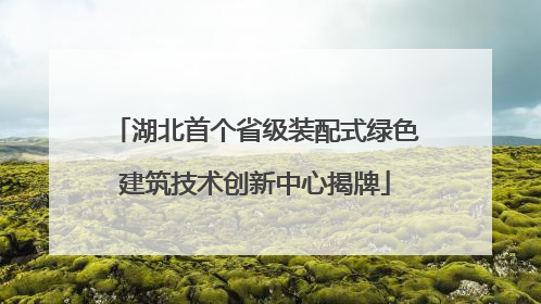湖北首个省级装配式绿色建筑技术创新中心揭牌
