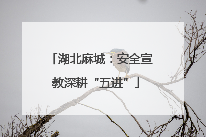 湖北麻城：安全宣教深耕“五进”