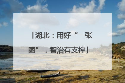 湖北：用好“一张图”，智治有支撑