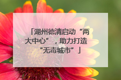 湖州德清启动“两大中心”，助力打造“无毒城市”