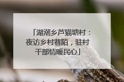 湖潮乡芦猫塘村：夜访乡村巷陌，驻村干部情暖民心