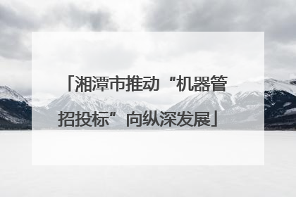 湘潭市推动“机器管招投标”向纵深发展