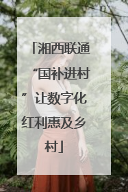 湘西联通“国补进村”让数字化红利惠及乡村