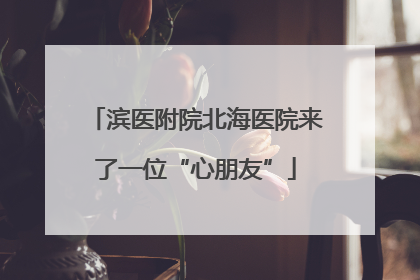 滨医附院北海医院来了一位“心朋友”
