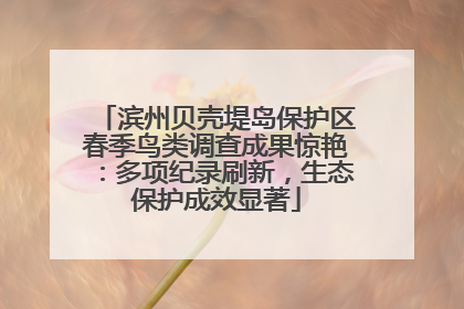 滨州贝壳堤岛保护区春季鸟类调查成果惊艳：多项纪录刷新，生态保护成效显著