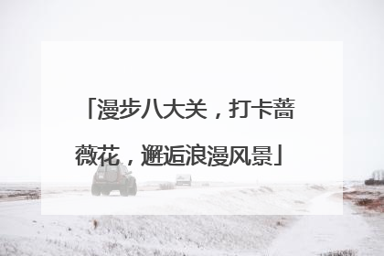 漫步八大关，打卡蔷薇花，邂逅浪漫风景