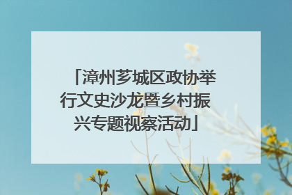 漳州芗城区政协举行文史沙龙暨乡村振兴专题视察活动