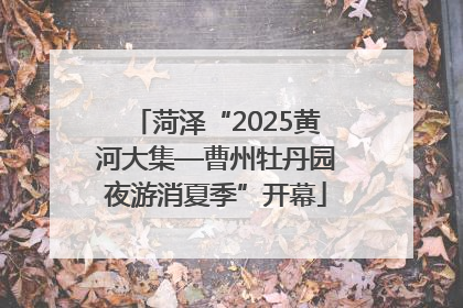 菏泽“2025黄河大集—曹州牡丹园夜游消夏季”开幕