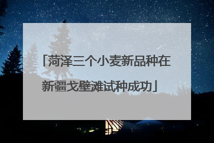 菏泽三个小麦新品种在新疆戈壁滩试种成功