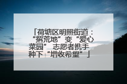 荷塘区明照街道：“撂荒地”变“爱心菜园” 志愿者携手种下“增收希望”