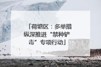 荷塘区：多举措纵深推进“禁种铲毒”专项行动