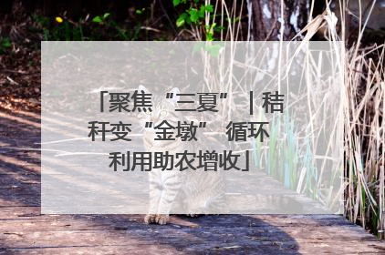 聚焦“三夏”｜秸秆变“金墩” 循环利用助农增收