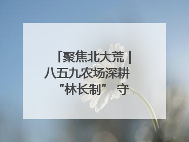 聚焦北大荒｜八五九农场深耕“林长制” 守护“生态绿”