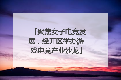 聚焦女子电竞发展，经开区举办游戏电竞产业沙龙