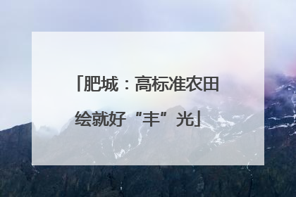 肥城：高标准农田绘就好“丰”光