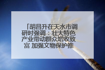 胡昌升在天水市调研时强调：壮大特色产业带动群众增收致富 加强文物保护推动文化创新发展