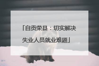 自贡荣县：切实解决失业人员就业难题