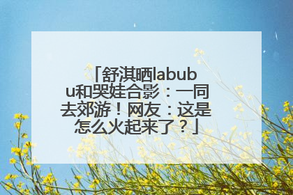 舒淇晒labubu和哭娃合影：一同去郊游！网友：这是怎么火起来了？