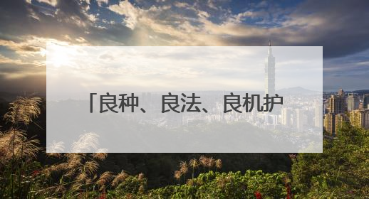 良种、良法、良机护航夏粮丰收 居民“菜篮子”“果盘子”满满“科技范儿”