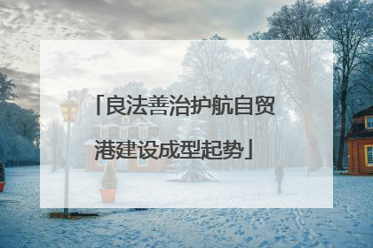 良法善治护航自贸港建设成型起势