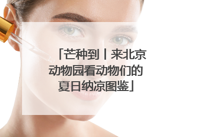 芒种到丨来北京动物园看动物们的夏日纳凉图鉴