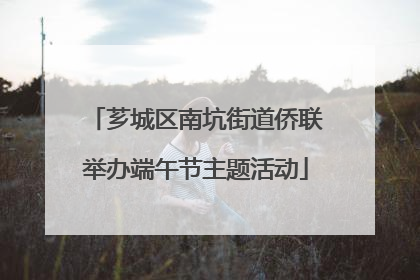 芗城区南坑街道侨联举办端午节主题活动