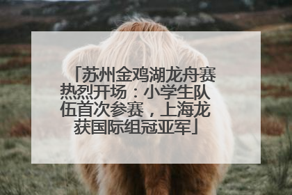 苏州金鸡湖龙舟赛热烈开场：小学生队伍首次参赛，上海龙获国际组冠亚军