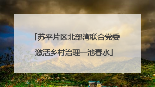 苏平片区北部湾联合党委 激活乡村治理一池春水