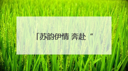 苏韵伊情 奔赴“疆”来丨变“输血”为“造血” 苏伊接力守护“心”生