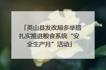 英山县发改局多举措扎实推进粮食系统“安全生产月”活动