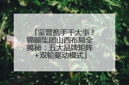 蒙晋携手干大事！锦颐集团山西布局全揭秘：五大品牌矩阵+双轮驱动模式