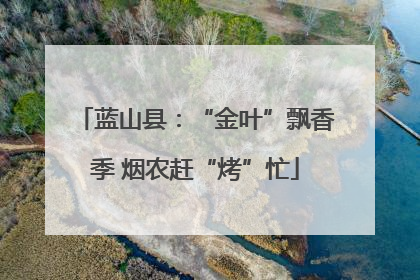 蓝山县：“金叶”飘香季 烟农赶“烤”忙