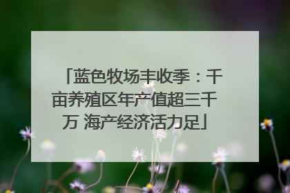 蓝色牧场丰收季：千亩养殖区年产值超三千万 海产经济活力足