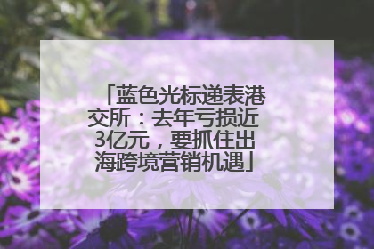 蓝色光标递表港交所：去年亏损近3亿元，要抓住出海跨境营销机遇