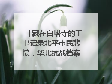 藏在白塔寺的手书记录北平市民悲愤，华北抗战档案首次集中展示