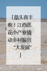 藠头喜丰收！江西莲花小产业撬动乡村振兴“大发展”